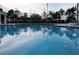 Clear blue water and serene reflections in a community pool surrounded by chairs and trees at 228 Star Shell Dr, Apollo Beach, FL 33572