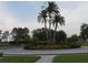 Road intersection with a traffic circle containing three palm trees and manicured bushes at 228 Star Shell Dr, Apollo Beach, FL 33572