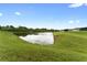 Serene pond with lush green landscaping at 10005 Caraway Spice Ave, Riverview, FL 33578