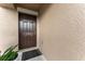 Dark brown front door with a small welcome mat at 10005 Caraway Spice Ave, Riverview, FL 33578