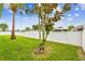Spacious backyard featuring a well-maintained lawn, a white fence, and mature trees, offering privacy and a serene outdoor space at 6843 Boulder Run Loop, Wesley Chapel, FL 33545