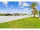 Green backyard featuring a privacy fence and a palm tree, perfect for outdoor enjoyment at 6843 Boulder Run Loop, Wesley Chapel, FL 33545