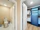 Toilet and walk-in closet at 13336 Great Plains Dr, Riverview, FL 33579