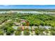 Aerial view of the house and surrounding landscape at 10906 Holly Cone Dr, Riverview, FL 33569