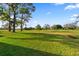 Expansive green backyard with mature trees, perfect for outdoor activities and relaxation at 2618 Crestfield Dr, Valrico, FL 33596