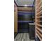 Large walk-in closet with ample shelving and rod space at 120 Chesapeake Ave, Tampa, FL 33606