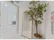 Bright hallway with marble floors, a large mirror, a decorative tree, and a glimpse into the dining area at 2910 W Barcelona St # 903, Tampa, FL 33629
