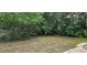 Overgrown backyard with a partially visible pool at 4375 Lindsey Loop, Dover, FL 33527
