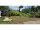 Large backyard with overgrown vegetation and a path at 4375 Lindsey Loop, Dover, FL 33527