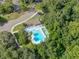Community pool with a surrounding patio and lush trees at 807 Hunters Ct, Brandon, FL 33511