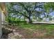 Large backyard with mature oak trees and a partially fenced area at 405 E Dr Martin Luther King Jr Blvd, Tampa, FL 33603