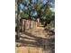 View down a tree-lined alley with a wooden fence at 405 E Dr Martin Luther King Jr Blvd, Tampa, FL 33603