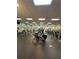 Well-equipped fitness center with various cardio and strength training machines at 18135 Canal Pointe St, Tampa, FL 33647