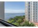 Stunning aerial view showcasing water and city views at 4141 Bayshore Blvd # 1003, Tampa, FL 33611