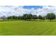 Aerial view of the property's expansive lawn and surrounding area at 36431 Florrie Mae Ln, Dade City, FL 33523