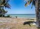 Scenic waterfront view from the property, featuring palm trees and tranquil water at 1013 Symphony Isles Blvd, Apollo Beach, FL 33572