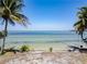Scenic waterfront property with palm trees and clear water views at 1013 Symphony Isles Blvd, Apollo Beach, FL 33572