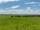 Expansive view of a green pasture under a bright sky at 34868 Prospect Rd, Dade City, FL 33525