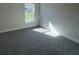 Well-lit bedroom with carpet floor and a window overlooking the backyard at 13260 Ogden Glade Rd, Dade City, FL 33525