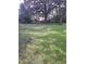 Expansive grassy backyard with mature trees providing shade at 5023 6Th St, Zephyrhills, FL 33542