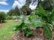 Landscaped backyard with lush greenery and a white vinyl fence at 10308 Holland Rd, Riverview, FL 33578