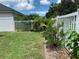 Partially fenced backyard with tropical plants and grass at 10308 Holland Rd, Riverview, FL 33578