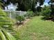 Landscaped backyard featuring a neatly trimmed lawn and citrus trees at 10308 Holland Rd, Riverview, FL 33578