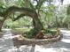A peaceful park setting with large trees, sidewalks, and benches, perfect for a relaxing stroll at 5733 Pawnee St, Zephyrhills, FL 33542