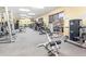 Well-equipped fitness center with various machines at 2501 Lonigan Pl, Sun City Center, FL 33573