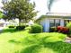 Landscaped yard with lush green grass and flowering bushes at 2501 Lonigan Pl, Sun City Center, FL 33573