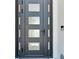 Modern gray front door with glass panels and sleek hardware at 517 Treviso Dr, Apollo Beach, FL 33572