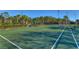 Well-maintained tennis court with surrounding hedges at 20131 Nob Oak Ave, Tampa, FL 33647