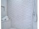Walk-in shower with patterned tile at 20131 Nob Oak Ave, Tampa, FL 33647