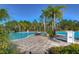 Resort-style pool with lounge chairs and palm trees at 20131 Nob Oak Ave, Tampa, FL 33647
