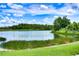 Serene lakefront property with lush landscaping at 20131 Nob Oak Ave, Tampa, FL 33647