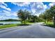 Attractive streetscape with lake views at 20131 Nob Oak Ave, Tampa, FL 33647