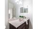 Well-lit bathroom with dark wood vanity and a large mirror at 16115 Colchester Palms Dr, Tampa, FL 33647