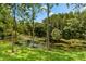 Serene lake view with lush greenery and lily pads at 5341 Lake Pearl Ct, Tampa, FL 33625