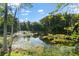 Serene pond with lush vegetation and reflections of the sky at 5341 Lake Pearl Ct, Tampa, FL 33625