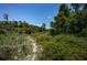 Sandy path in a wooded area with lush vegetation at 2271 Keystone Rd, Tarpon Springs, FL 34688