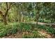 Lush green landscape with mature trees at 2271 Keystone Rd, Tarpon Springs, FL 34688