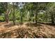 Spacious lot surrounded by lush trees and vegetation at 2271 Keystone Rd, Tarpon Springs, FL 34688
