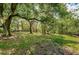 Large backyard with mature trees and grass at 2271 Keystone Rd, Tarpon Springs, FL 34688