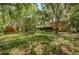 Large backyard with lush trees and a shed at 2271 Keystone Rd, Tarpon Springs, FL 34688