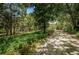 Long driveway leading to house, surrounded by lush greenery at 2271 Keystone Rd, Tarpon Springs, FL 34688