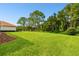 Spacious grassy backyard with mature trees and privacy at 17809 Saint Lucia Isle Dr, Tampa, FL 33647