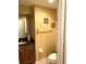 Clean bathroom with toilet, sink, and dark vanity at 32502 Summerglade Dr, Wesley Chapel, FL 33545