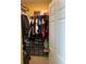 Walk-in closet with ample shelving and hanging space at 32502 Summerglade Dr, Wesley Chapel, FL 33545
