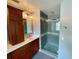 Updated bathroom with double vanity and walk-in shower at 4031 Quail Briar Dr, Valrico, FL 33596