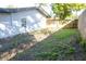 Side view of the backyard, showing the property line and mature landscaping at 1920 N Highland Ave, Clearwater, FL 33755